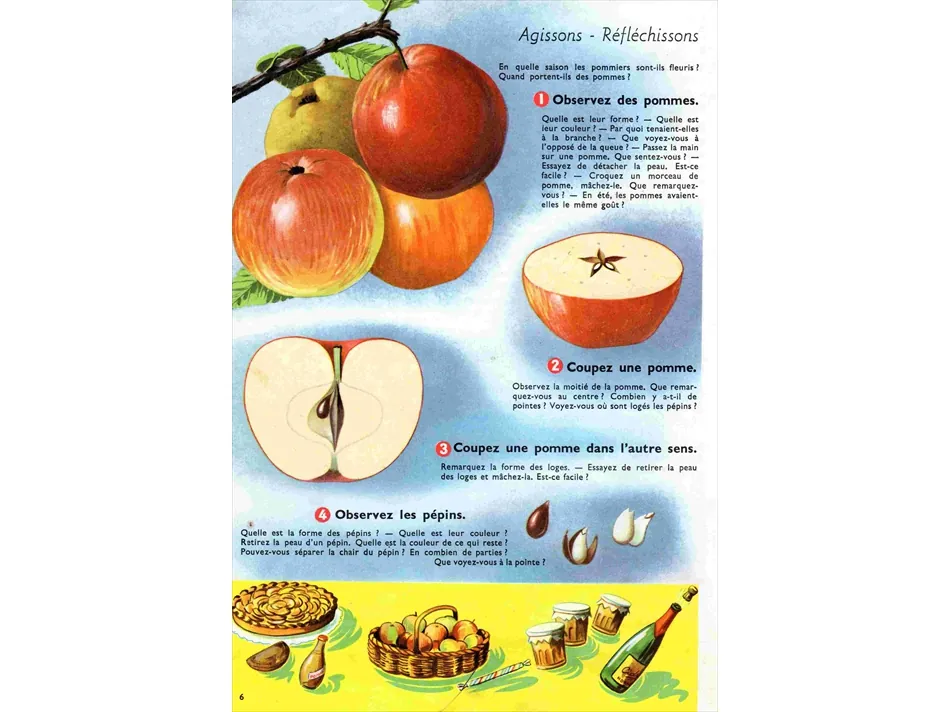 Cours de sciences et de découverte du monde pour le CP et le CE1