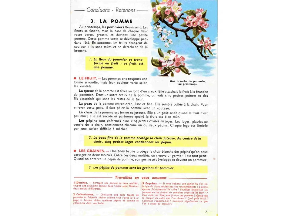Cours de sciences et de découverte du monde pour le CP et le CE1